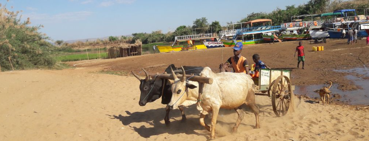 Dynamic Content Image